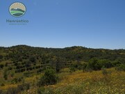Terreno Rstico - Santa Cruz, Almodvar, Beja - Miniatura: 3/8