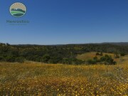 Terreno Rstico - Santa Cruz, Almodvar, Beja - Miniatura: 4/8