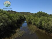 Terreno Rstico - Santa Cruz, Almodvar, Beja - Miniatura: 5/8