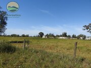 Terreno Rstico T1 - Colos, Odemira, Beja - Miniatura: 4/9