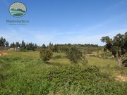 Terreno Rstico T1 - Colos, Odemira, Beja - Miniatura: 9/9