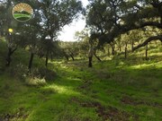 Quinta T1 - Santa Margarida da Serra, Grndola, Setbal - Miniatura: 4/9