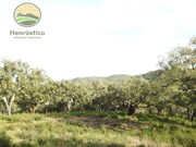 Quinta T1 - Santa Margarida da Serra, Grndola, Setbal - Miniatura: 5/9