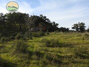 Quinta T1 - Santa Margarida da Serra, Grndola, Setbal - Miniatura: 7/9