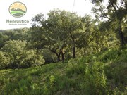 Quinta T1 - Santa Margarida da Serra, Grndola, Setbal - Miniatura: 9/9