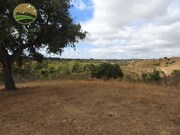 Quinta T1 - Azinheira dos Barros, Grndola, Setbal - Miniatura: 6/9