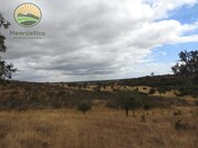 Quinta T1 - Azinheira dos Barros, Grndola, Setbal - Miniatura: 8/9