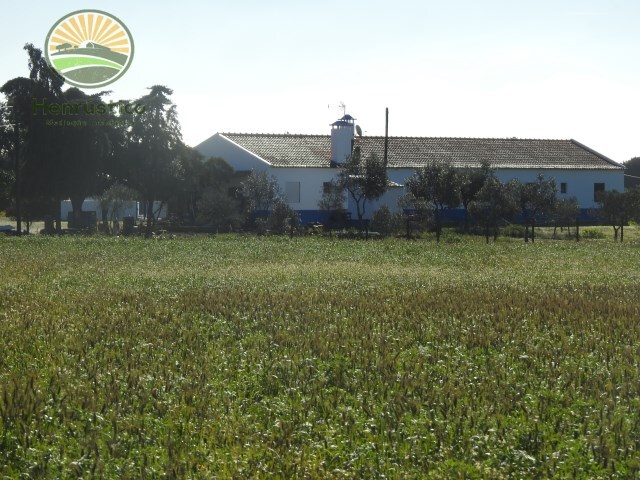 Quinta > T6 - Santa Margarida da Serra, Gr�ndola, Set�bal - Imagem grande
