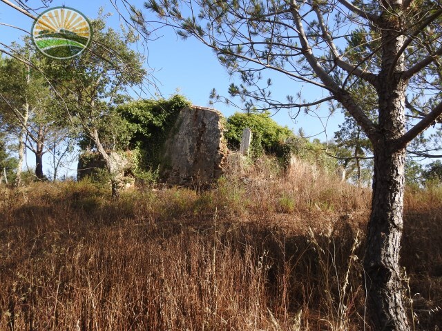 Terreno R�stico - S�o Lu�s, Odemira, Beja - Imagem grande
