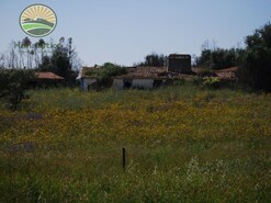 Terreno Rstico - Azinheira dos Barros, Grndola, Setbal
