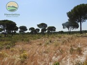 Terreno Rstico - Santa Margarida da Serra, Grndola, Setbal - Miniatura: 4/9