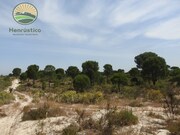 Terreno Rstico - Santa Margarida da Serra, Grndola, Setbal - Miniatura: 5/9