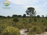 Terreno Rstico - Santa Margarida da Serra, Grndola, Setbal - Miniatura: 6/9