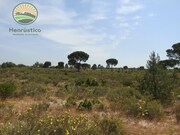 Terreno Rstico - Santa Margarida da Serra, Grndola, Setbal - Miniatura: 8/9