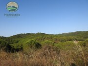 Terreno R�stico - S�o Lu�s, Odemira, Beja - Miniatura: 5/9