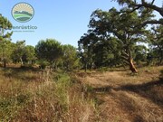 Terreno R�stico - S�o Lu�s, Odemira, Beja - Miniatura: 7/9
