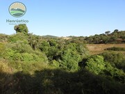 Terreno R�stico - S�o Lu�s, Odemira, Beja - Miniatura: 9/9