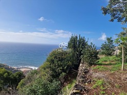 Terreno Rstico T0 - Estreito da Calheta, Calheta (Madeira), Ilha da Madeira - Miniatura: 3/6
