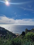 Terreno Rstico T0 - Estreito da Calheta, Calheta (Madeira), Ilha da Madeira - Miniatura: 5/6