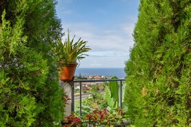 Moradia T4 - Ponta Delgada, S�o Vicente, Ilha da Madeira - Miniatura: 40/78