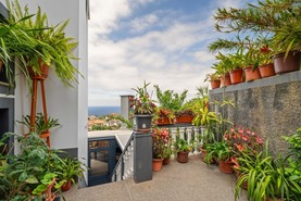 Moradia T4 - Ponta Delgada, S�o Vicente, Ilha da Madeira - Miniatura: 49/78