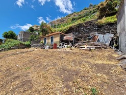 Terreno Rstico T0 - Calheta, Calheta, Ilha de S. Jorge - Miniatura: 6/17