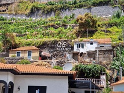 Terreno Rstico T0 - Calheta, Calheta, Ilha de S. Jorge - Miniatura: 17/17