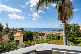 Moradia T6 - Funchal, Funchal, Ilha da Madeira - Miniatura: 32/70