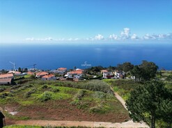 Terreno Rstico T0 - No Definido, Calheta, Ilha de S. Jorge - Miniatura: 1/37