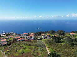 Terreno Rstico T0 - No Definido, Calheta, Ilha de S. Jorge - Miniatura: 26/37