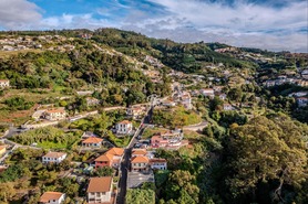 Terreno Rstico T0 - So Gonalo, Funchal, Ilha da Madeira - Miniatura: 6/12