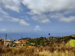 Ruina T3 - Ponta do Sol, Ponta do Sol, Ilha da Madeira - Miniatura: 5/28