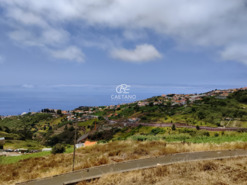 Ruina T3 - Ponta do Sol, Ponta do Sol, Ilha da Madeira - Miniatura: 7/28