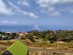 Ruina T3 - Ponta do Sol, Ponta do Sol, Ilha da Madeira - Miniatura: 8/28