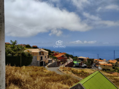 Ruina T3 - Ponta do Sol, Ponta do Sol, Ilha da Madeira - Miniatura: 11/28