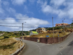 Ruina T3 - Ponta do Sol, Ponta do Sol, Ilha da Madeira - Miniatura: 14/28