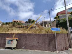 Ruina T3 - Ponta do Sol, Ponta do Sol, Ilha da Madeira - Miniatura: 15/28