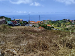 Ruina T3 - Ponta do Sol, Ponta do Sol, Ilha da Madeira - Miniatura: 26/28