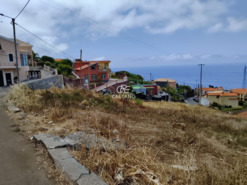 Ruina T3 - Ponta do Sol, Ponta do Sol, Ilha da Madeira - Miniatura: 27/28