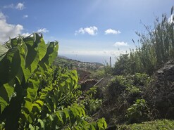 Terreno Rstico T0 - Canhas, Ponta do Sol, Ilha da Madeira - Miniatura: 8/25