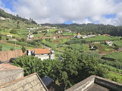 Terreno Rstico T0 - Canhas, Ponta do Sol, Ilha da Madeira - Miniatura: 13/25