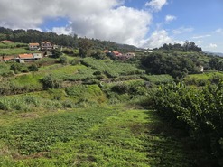 Terreno Rstico T0 - Canhas, Ponta do Sol, Ilha da Madeira - Miniatura: 22/25