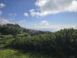 Terreno Rstico T0 - Canhas, Ponta do Sol, Ilha da Madeira - Miniatura: 25/25
