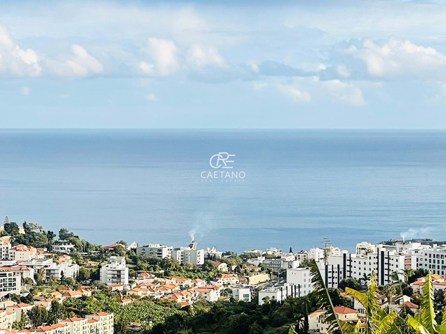 Quinta T3 - Santo Antnio, Funchal, Ilha da Madeira - Imagem grande