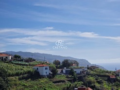 Terreno Rstico T0 - Canhas, Ponta do Sol, Ilha da Madeira - Miniatura: 1/4