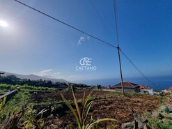 Terreno Rstico T3 - Estreito da Calheta, Calheta (Madeira), Ilha da Madeira - Miniatura: 2/4