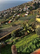 Moradia T3 - Cmara de Lobos, Cmara de Lobos, Ilha da Madeira - Miniatura: 1/21
