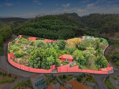 Quinta - São Roque, Funchal, Ilha da Madeira - Miniatura: 2/85