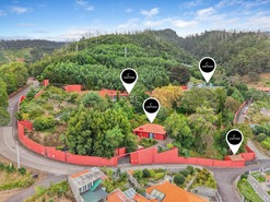 Quinta - São Roque, Funchal, Ilha da Madeira - Miniatura: 3/85