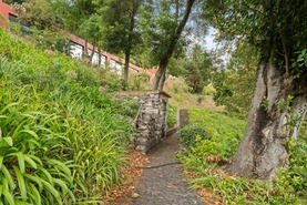 Quinta - São Roque, Funchal, Ilha da Madeira - Miniatura: 28/85
